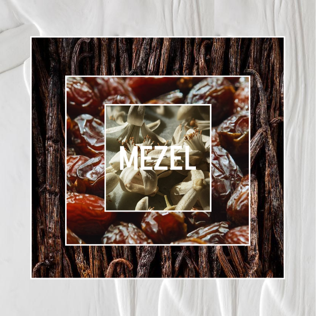 DATTE OPALINE recharge