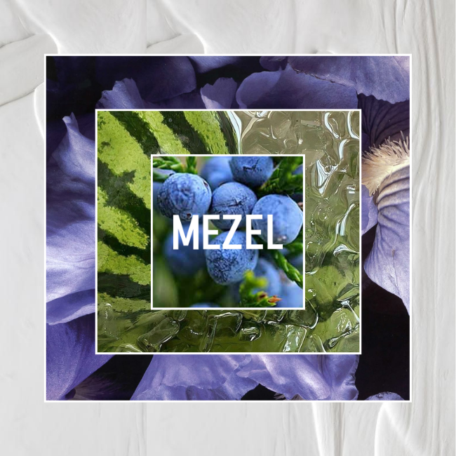 CUIR DE PASTÈQUE recharge