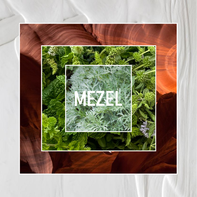 MENTHE ENIVRANTE