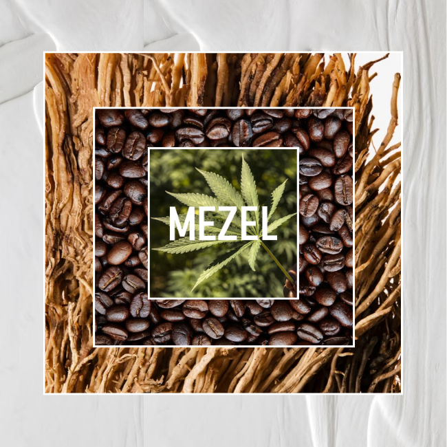 CAFÉ DÉFENDU recharge